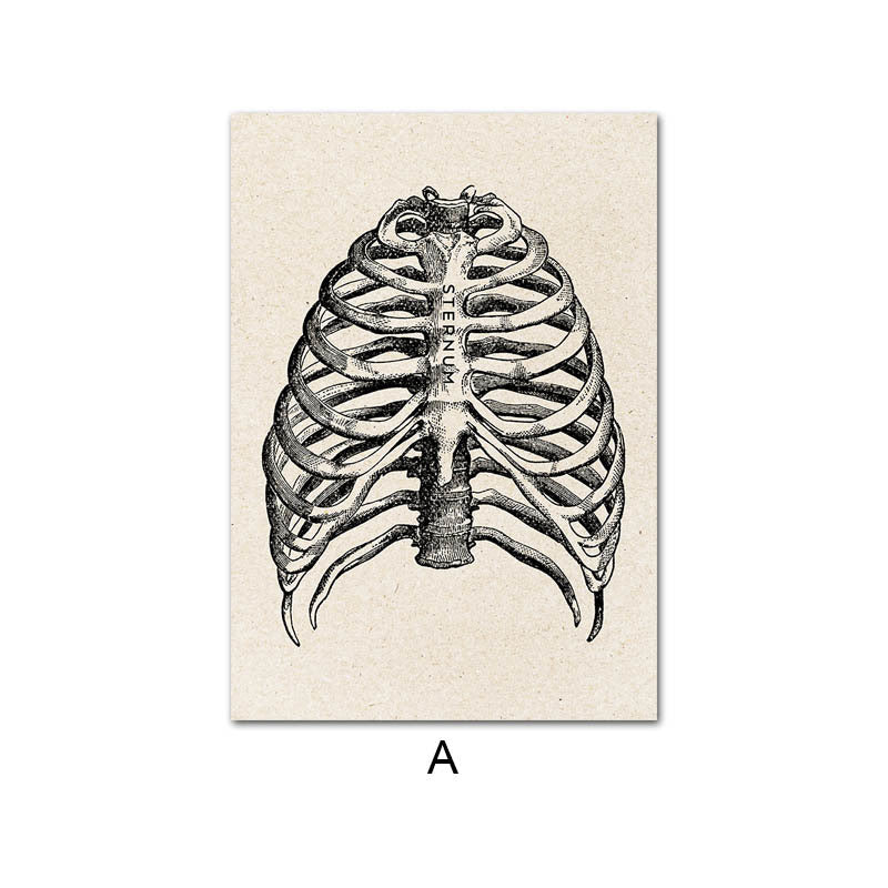 LX Human Anatomy Cage Poster Print [20X25cm, No Frame]