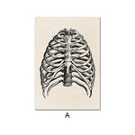 Human Anatomy CAGE Poster Print [20X25cm, NO Frame]