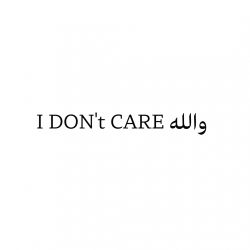 Space Sticker # 29 - I Don'T Care Walla