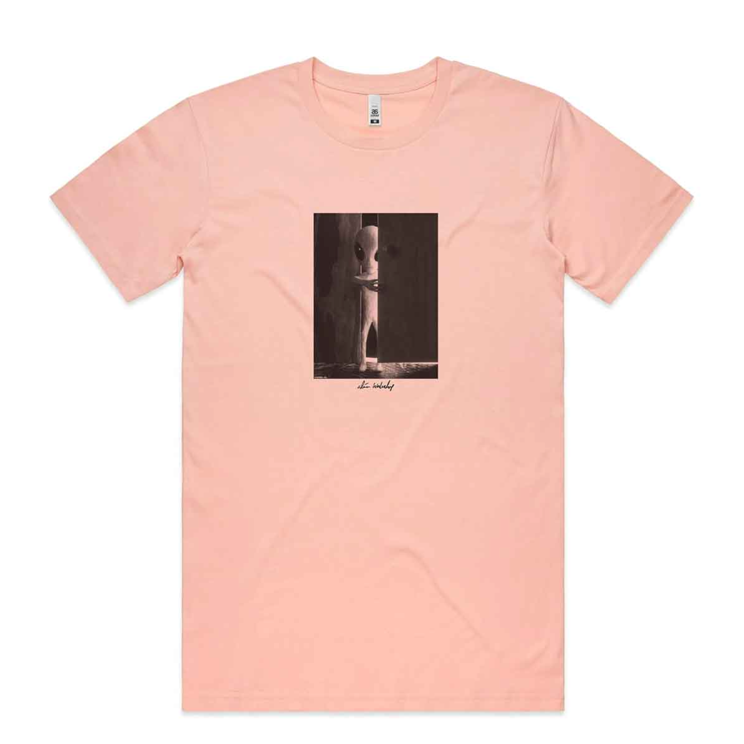 Alien Workshop VISITOR DOORWAY T-Shirt - Peach