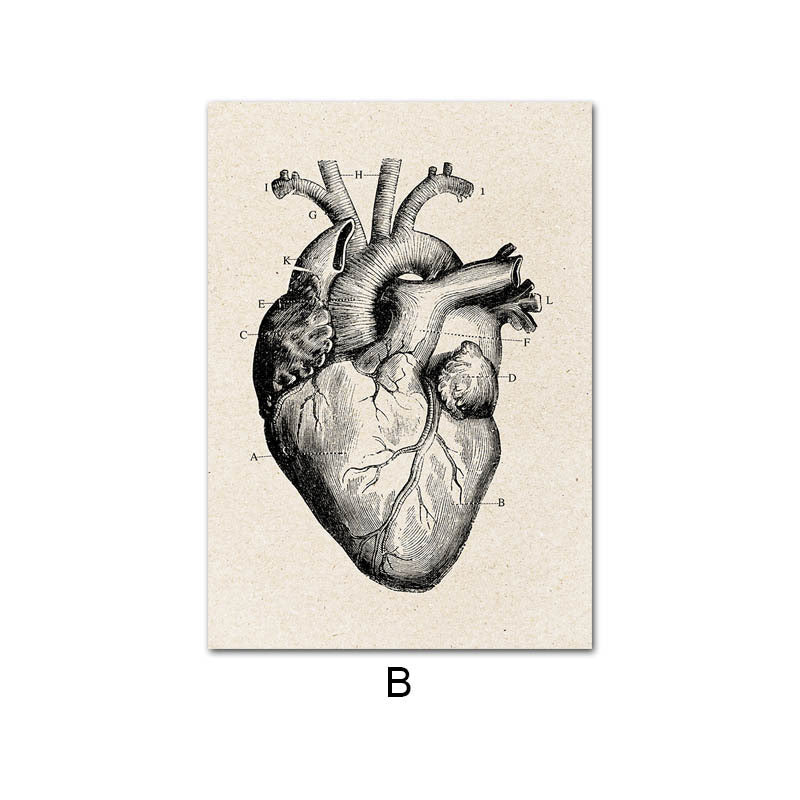 LX Human Anatomy Heart Poster Print [20X25cm, No Frame]