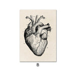 Human Anatomy HEART Poster Print [20X25cm, NO Frame]