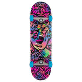 Santa Cruz OBSCURE HAND LARGE Skateboard Complete 8.25"