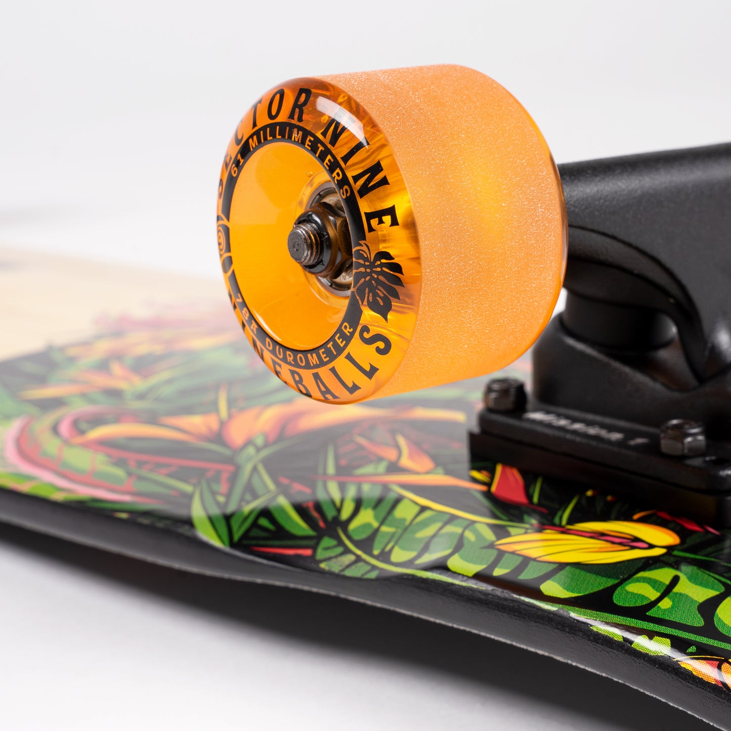 Sector9 Eden Ft. Point Longboard Complete 34"