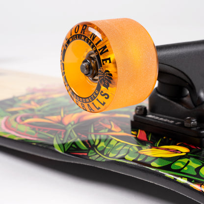 Sector9 Eden Ft. Point Longboard Complete 34"