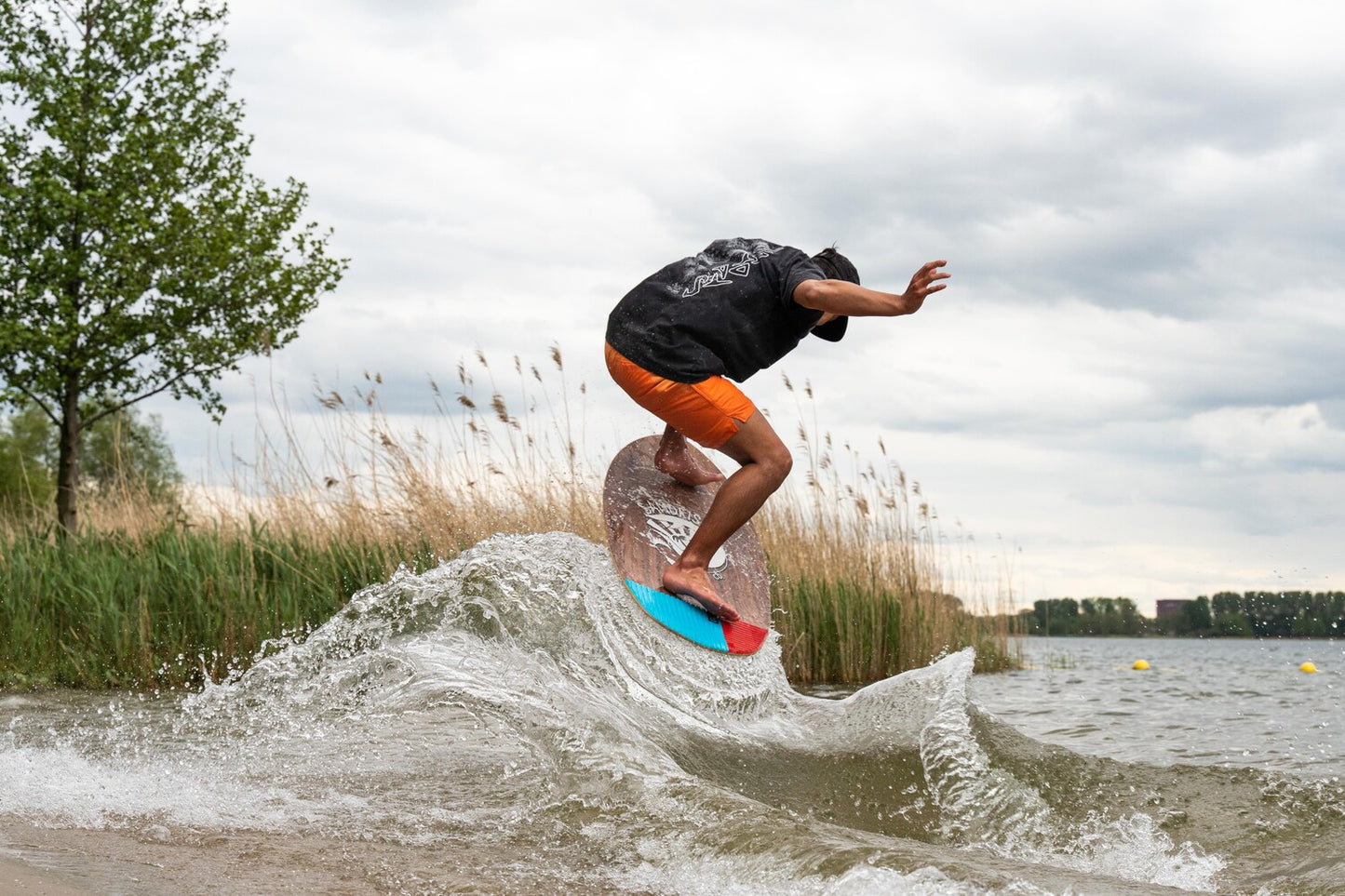 DB Walnut Woody Grom Cruiser Skimboard